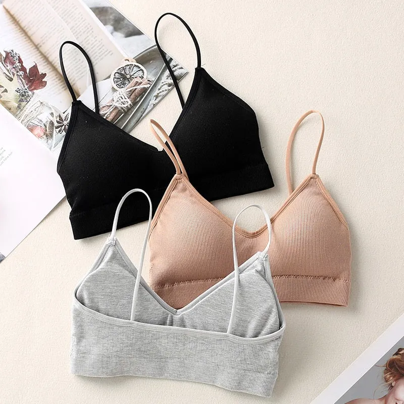 Sexy Sport Bra