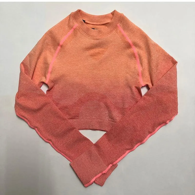 Women Seamless Leggings Cropped Shirts Workout Suit